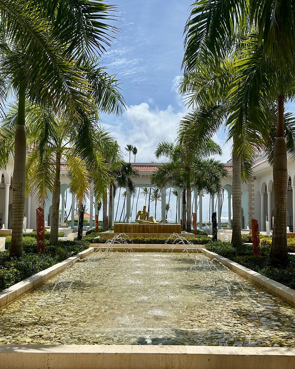 Paradisus Palma Real, Dominica Republic