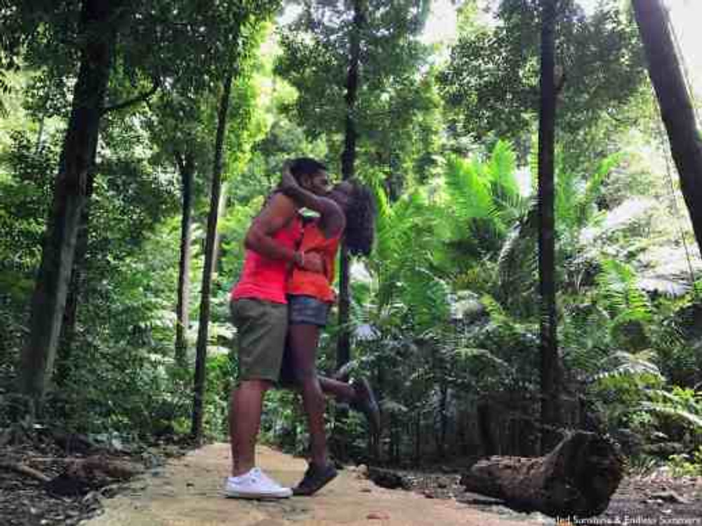 Welchman Hall Gully Barbados- The Nutmeg Walk
