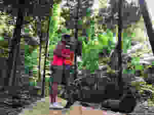 Welchman Hall Gully Barbados- The Nutmeg Walk