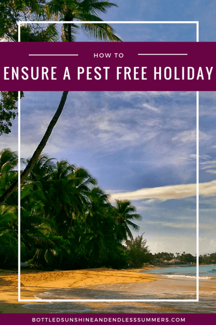 HOW TO ENSURE A PEST FREE HOLIDAY