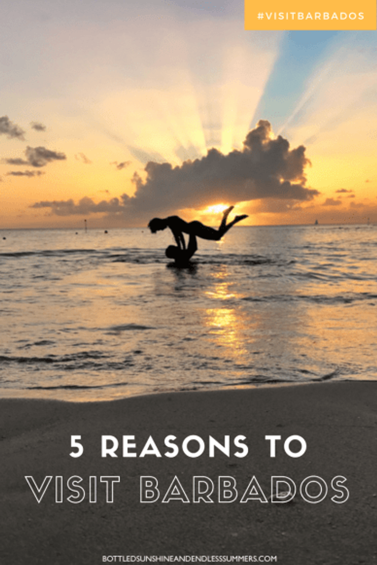 5 Reasons To VIsit Barbados.png