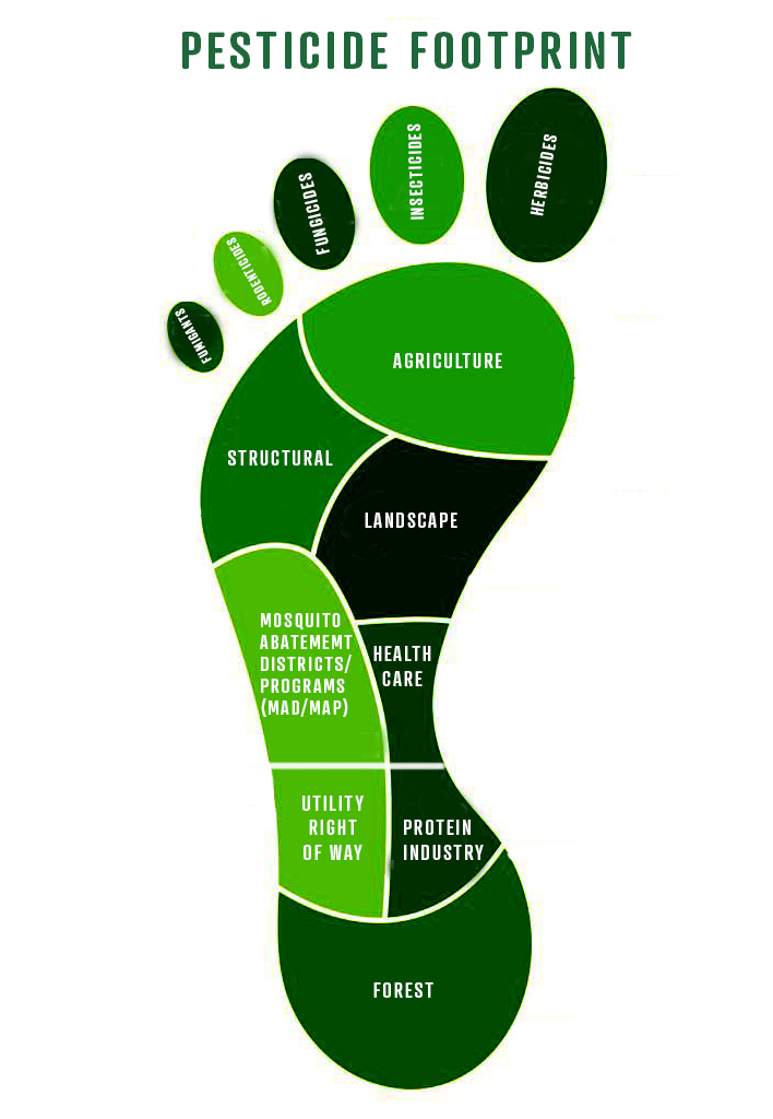 Footprint.jpg
