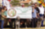 Parade of Clans