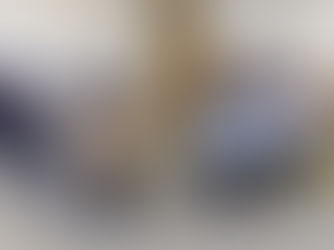 子どもたちの健やかな成長を支えるために〜文教厚生委員会視察〜