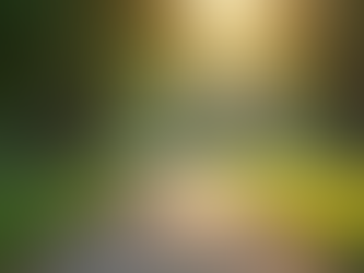 Integrating Movement in Mental Wellness for Veterans