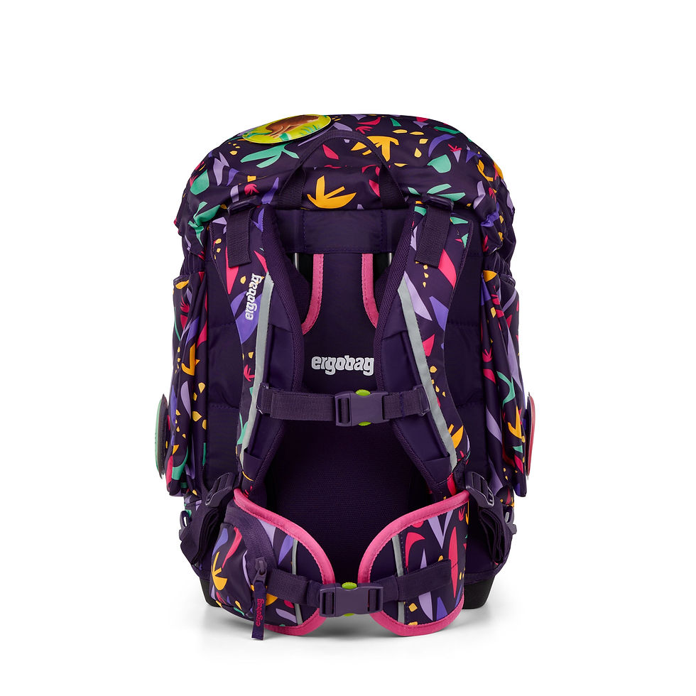 Pack Ambärzonas hinten
