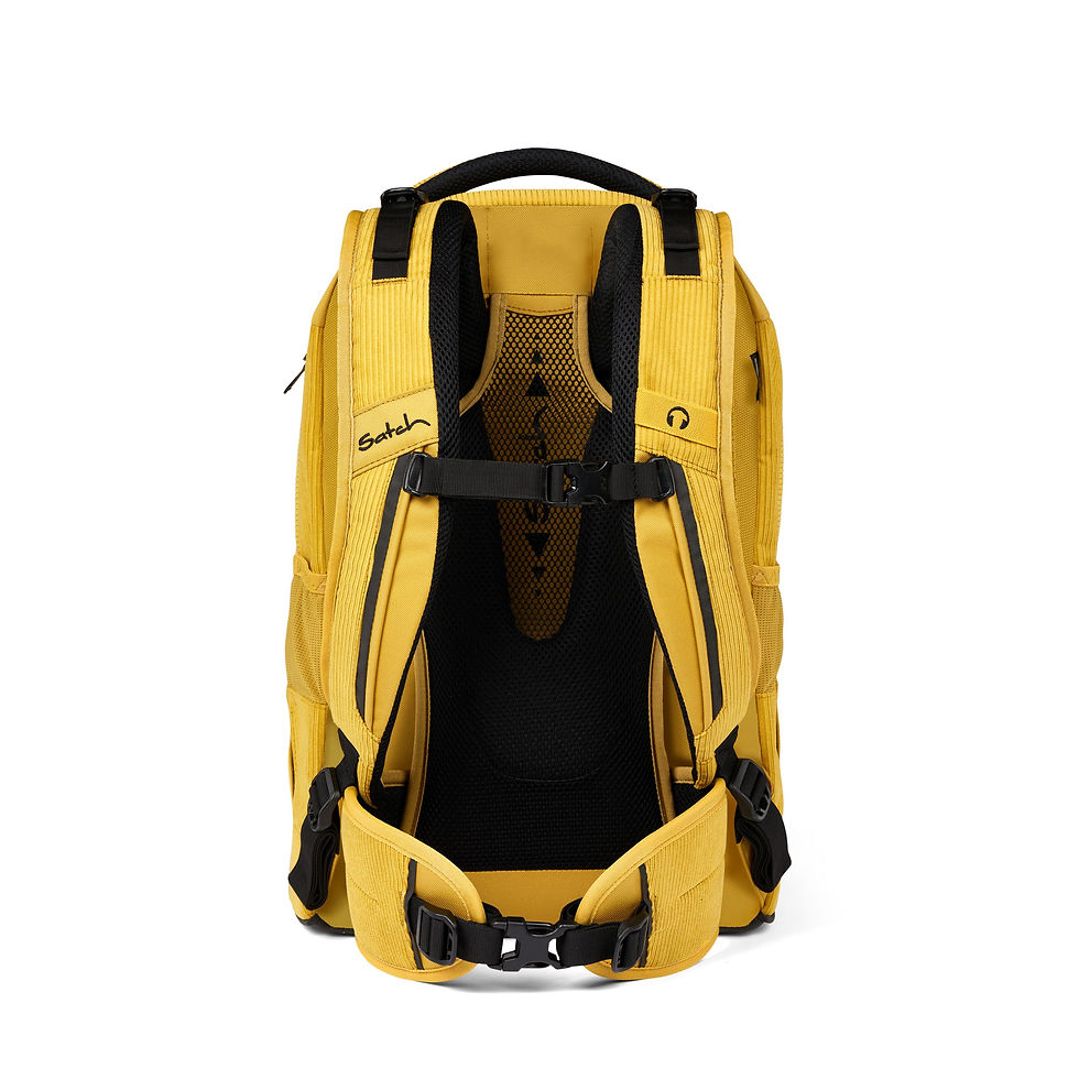 Large_JPG-01030-10064-10-satch-pack-Retro-Honey-05