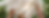 C2F8E4A1-0C4E-4541-94F6-F9B5A3ABF82E_edited.png