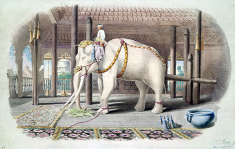 Adakah Tai Itu Siam