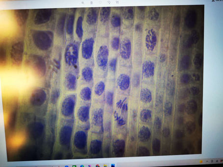 Camp Astra 2021: Science Summer Camp