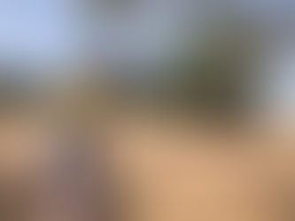 ASTRA & Africa Cries Out: Senegal Trip