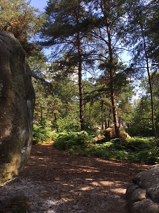 image20