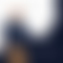 محامي قضايا مجلس الدولة: الوجهة الأولى لتطبيق قانون مجلس الدولة في حل المنازعات الإدارية