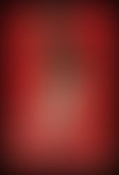 Freedom Summer Movie