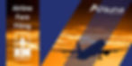 anjuna airline fare filing services