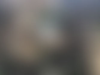 Squish, Squash, Splat!