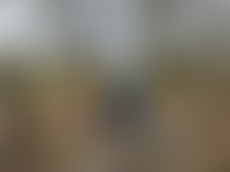 Mud and wellies - Happy New Year from Bolton NEWT!