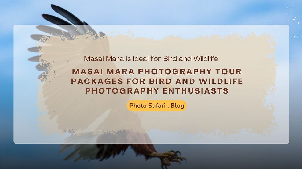 Turn Your Safari into a Visual Story with Masai Mara Photography Tours