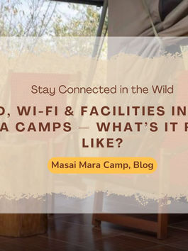 Stay Connected in the Wild at Mara Siligi Camp