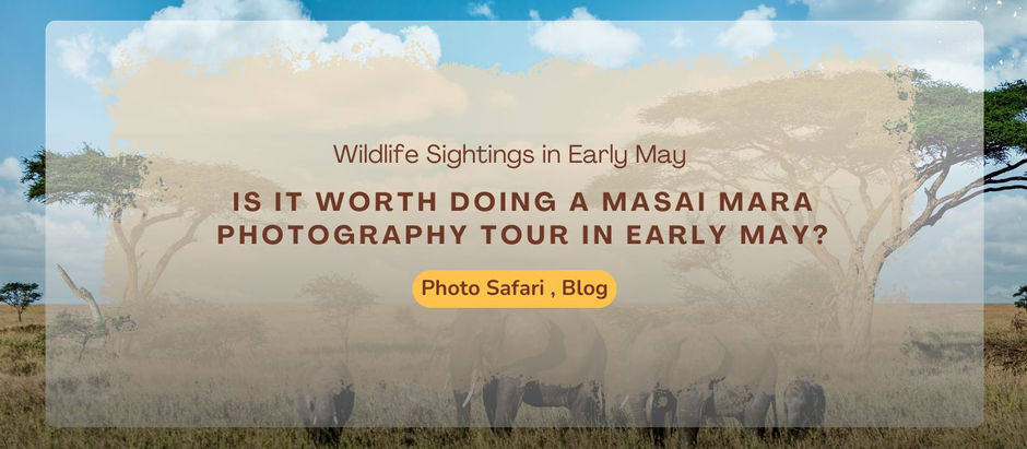 Why Mara Siligi Camp Is Essential for Photography Tours
