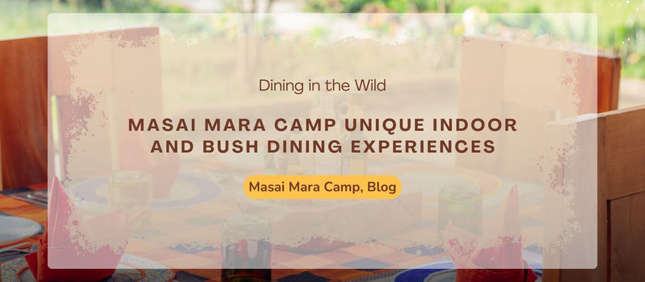 Ethical Wildlife Viewing as Part of Your Safari Stay