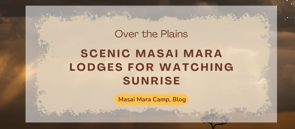 Why Choose Mara Siligi Camp Over Other Masai Mara Camps and Lodges