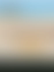 Photographing the Great Migration with Purpose