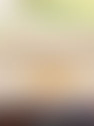 A Team That Truly Goes Above & Beyond