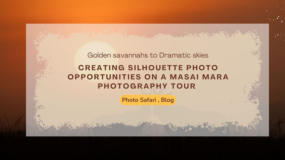 Turning a Safari Into a Once-in-a-Lifetime Portfolio