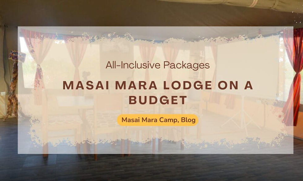 Luxury vs Budget Masai Mara Camps and Lodges