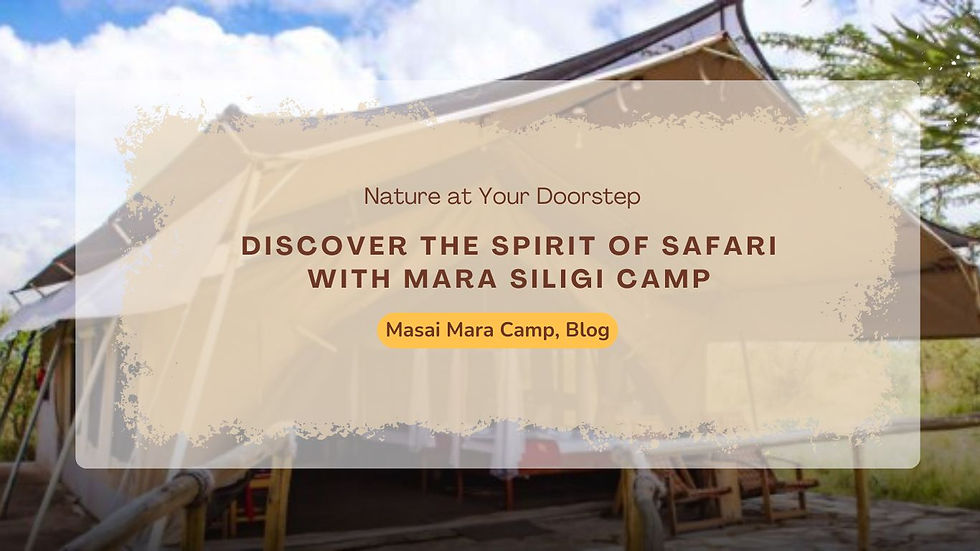 Photography-Ready Safari Stays at Mara Siligi Camp