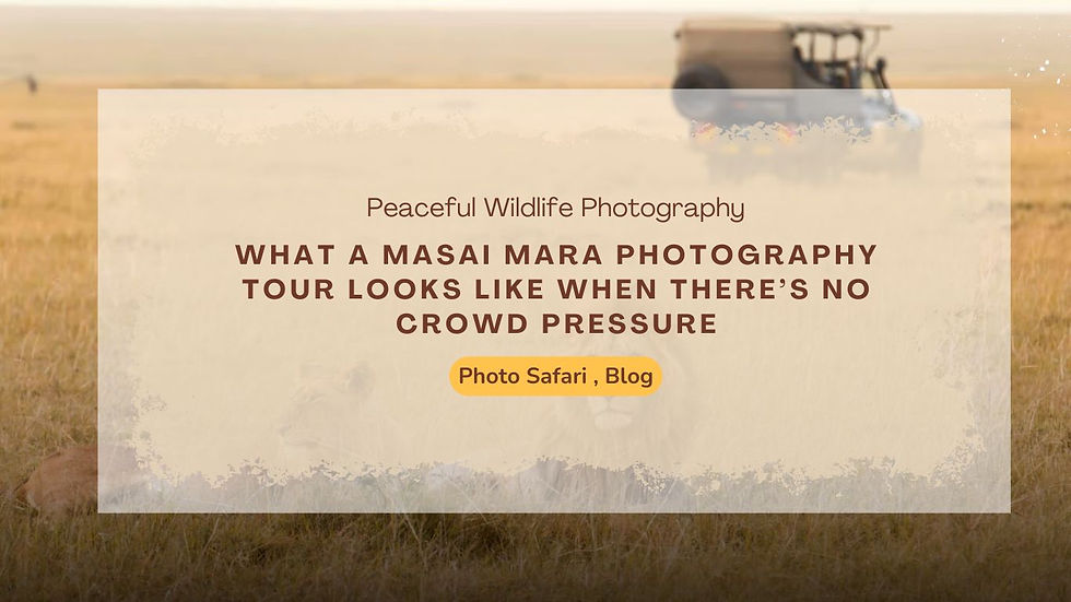 A Day on a Private Masai Mara Photography Tour