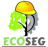 ECOSEG - Carlos Viana (sem fundo).png