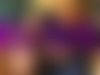 Warner Brothers Star Tour – Vlog