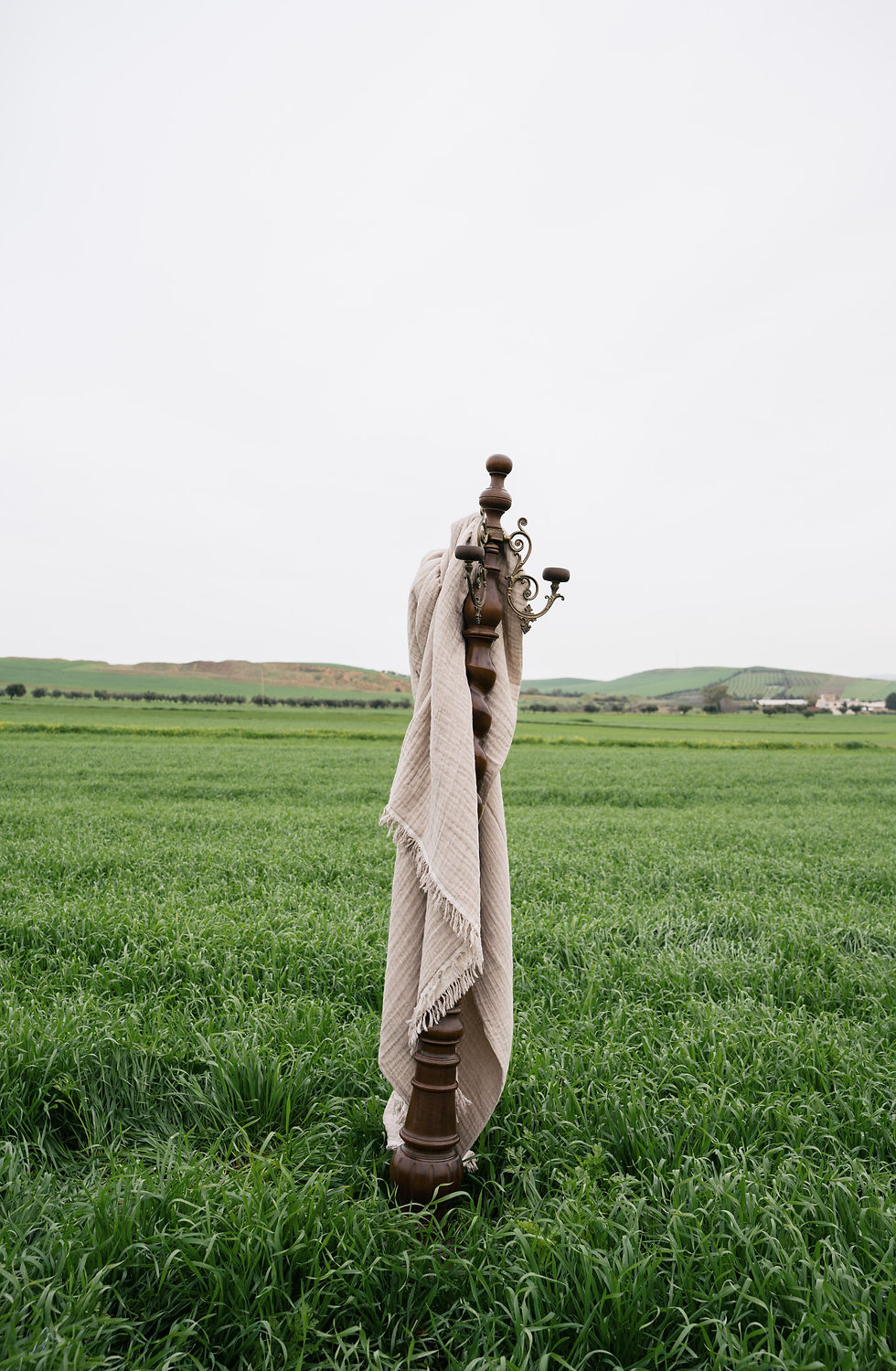 Miniature : Jeté en Gaz de Coton