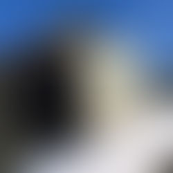 あいさつまわり