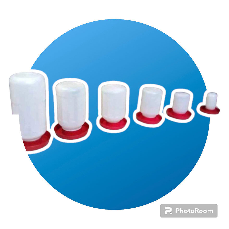 PhotoRoom-20230917_145834.png