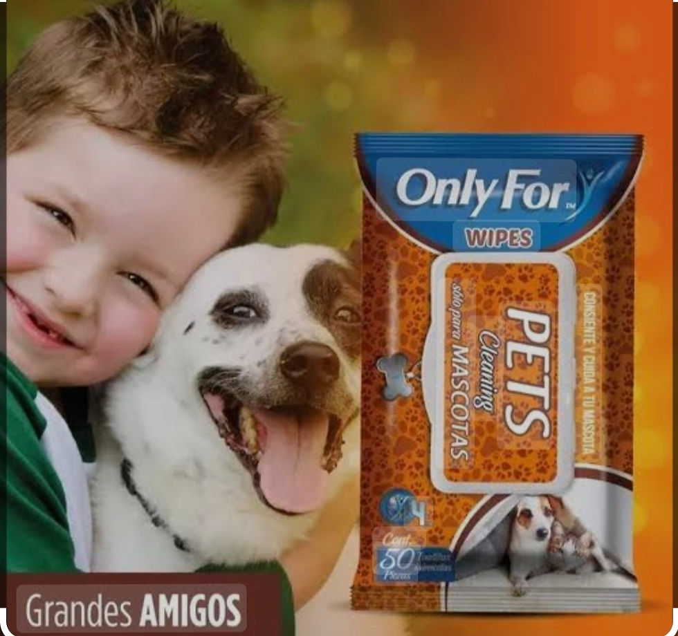 Miniatura: Toallitas humedas para mascotas 