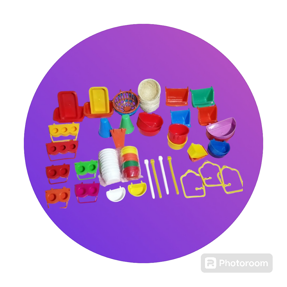 Photoroom-20240811_231937.png