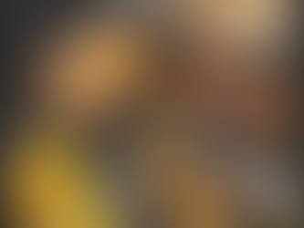 Crispy Rice Paper Rolls