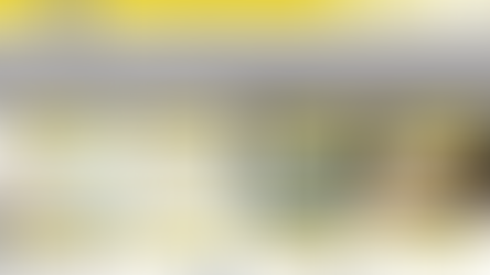 College for Creative Studies Alumni Feature: