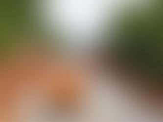 Roads benchmarking 2023