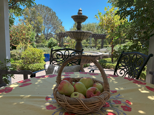 Gardens and Nature Through our Lives