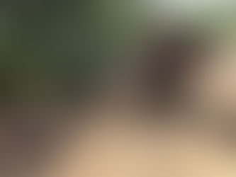 GOING WILD WITH NATIVES ANNOUNCEMENT