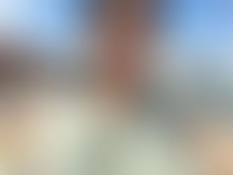 山梨放送「中部横断道 山梨〜静岡 全線開通記念特番」にリポーター出演！