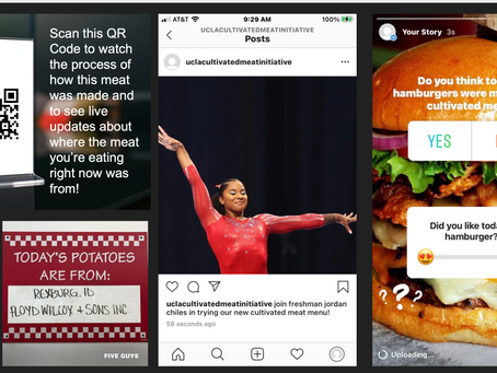 Why Gen Z Diversity Matters in Global Marketing Strategies for Cultivated Meat