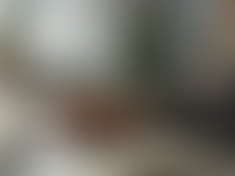 ロシア語翻訳の完全ガイド
