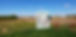 9-patchinField_full.jpg