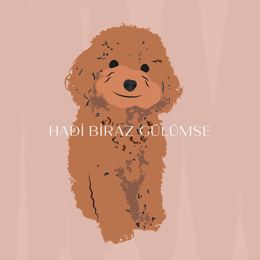 POODLE LI POST.jpg