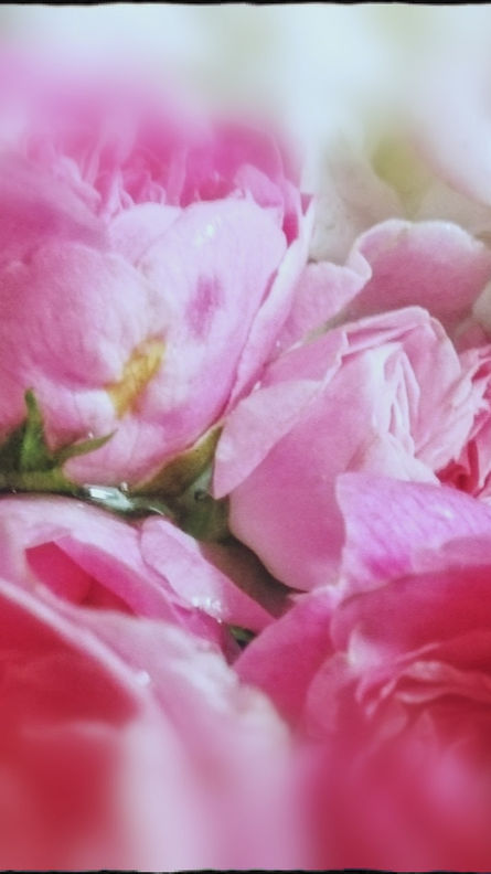 Lets Lighten the Load 